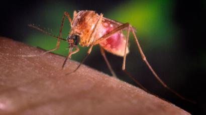 Aerial pesticide spray to fight West Nile causes fear in cities 