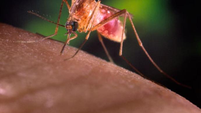 Texas declares emergency due to West Nile virus outbreak