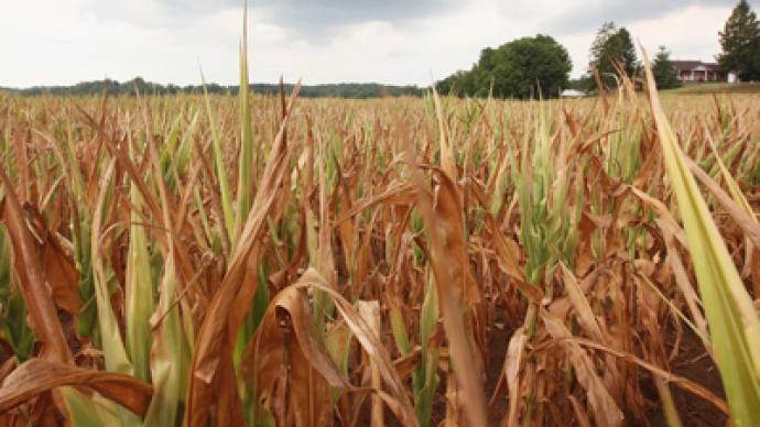 US drought might lead to food shortages and global unrest 