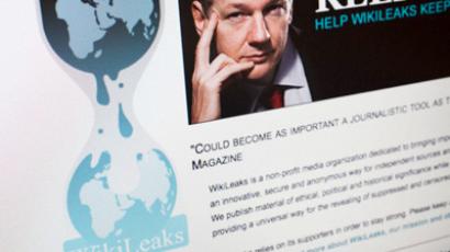 WikiLeaks suspends activity over cash blockade