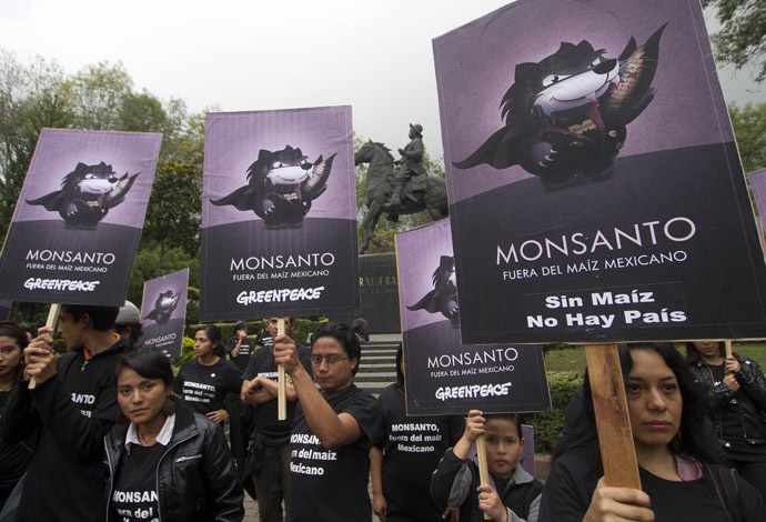 Activists of the global environmental watchdog Greenpeace demonstrate against US biotech giant Monsanto and the commercial sowing of transgenic corn, at "Parque de los Venados" in Mexico City (AFP Photo)