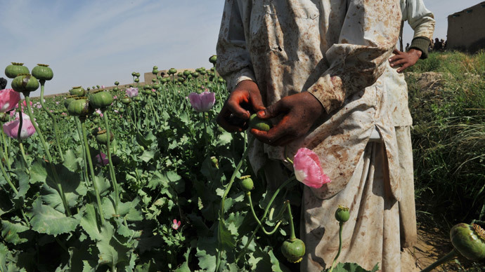 ​Poppy revolution in Afghanistan to follow the elections?
