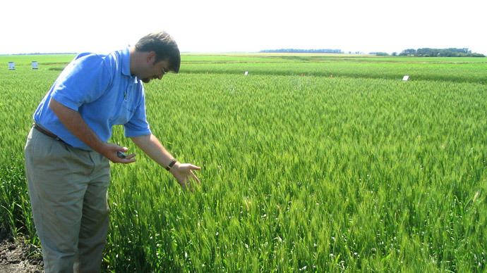 It’s the toxic herbicide Roundup and glyphosates, stupid!