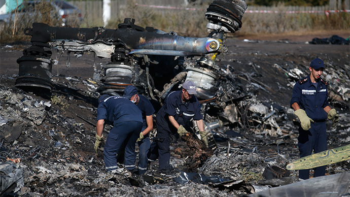 ‘Too good opportunity to miss’: MH17 blame game has political motives, may lead to war