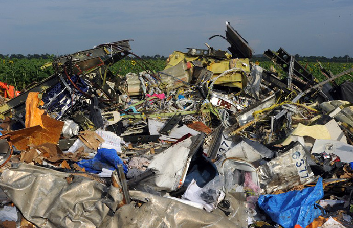 A single shoe is seen on July 19, 2014 at the wreckage of Malaysia Airlines flight MH17 two days after it crashed in a sunflower field near the village of Rassipnoe, in rebel-held eastern Ukraine. (AFP Photo / Dominique Faget)