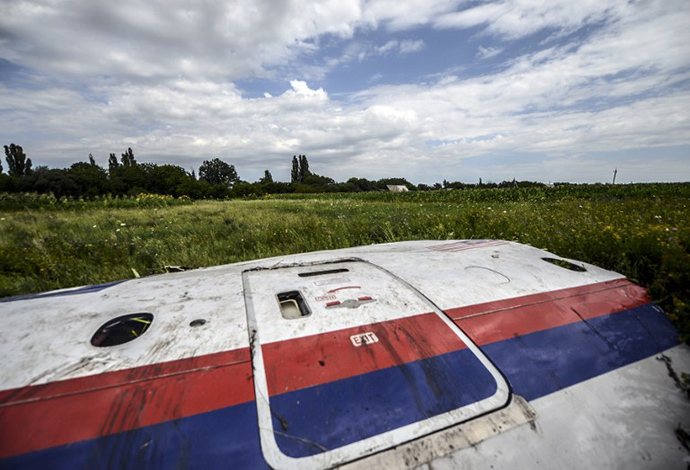 A piece of the wreckage of the Malaysia Airlines flight MH17 is pictured in a field near the village of Grabove, in the region of Donetsk on July 20, 2014. (AFP Photo / Bulent Kilic)