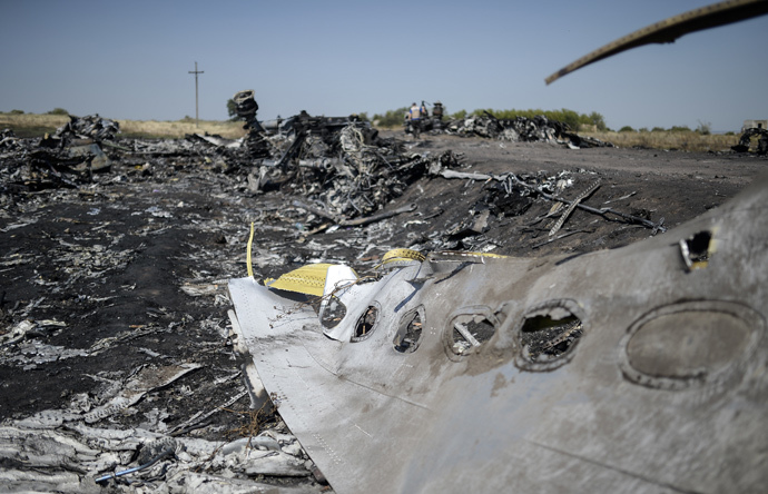 A part of the Malaysia Airlines Flight MH17 at the crash site in the village of Hrabove (Grabovo), some 80km east of Donetsk, on August 2, 2014. (AFP Photo / Bulent Kilic) 