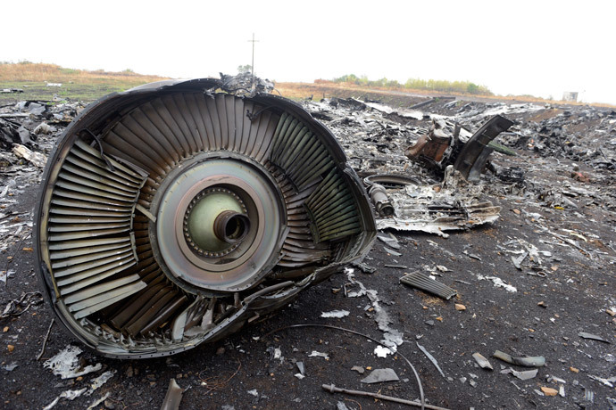A photo taken on September 9, 2014 shows part of the Malaysia Airlines Flight MH17 at the crash site in the village of Hrabove (Grabovo), some 80km east of Donetsk. (AFP Photo / Alexander Khudoteply)