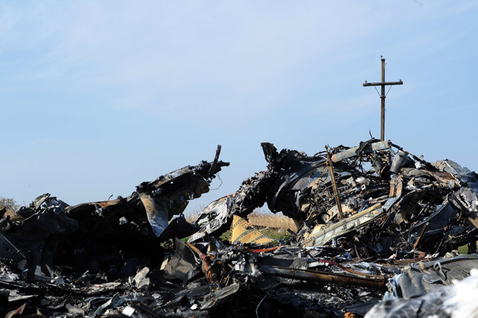 Wreckage of Malaysia Airlines flight MH17 near the village of Rassipnoe. (AFP Photo / Dominique Faget)
