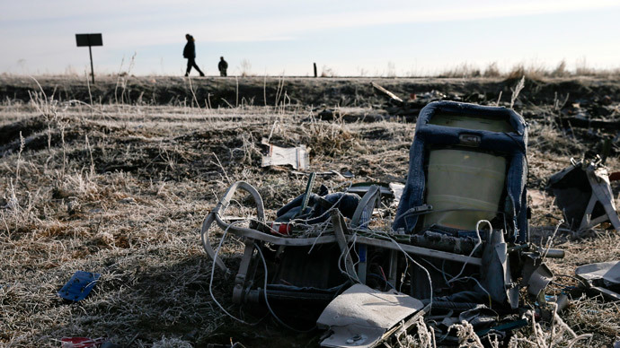 Malaysia Airlines Boeing 777 plane (MH17).(Reuters / Maxim Shemetov)