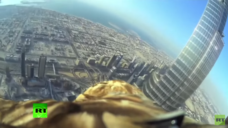 Dubaï : un aigle équipé d’une caméra GoPro s’envole d’un gratte-ciel et établit un record (VIDEO)