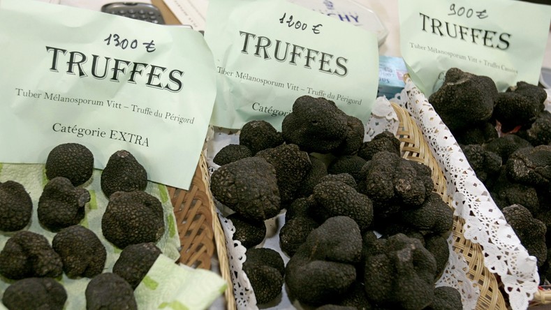 Abattu pour des truffes