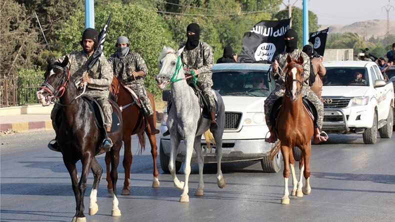 Paradis perdu : Al-Qaïda prive les combattants de Daesh des cieux islamiques