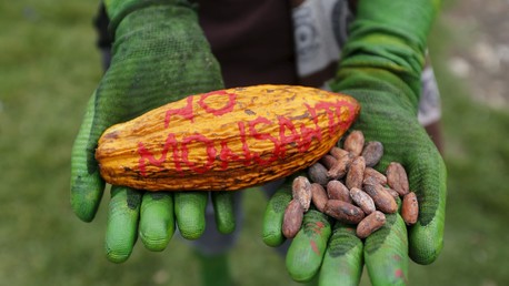 Ségolène Royal ne veut plus du Roundup de Monsanto dans les jardins