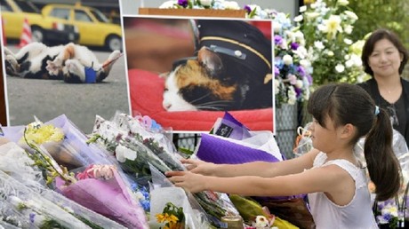 3000 Japonais ont assisté aux funérailles de leur chat préféré, Tama !