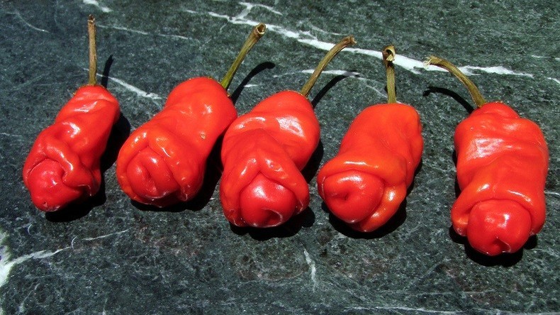 Une petite faim ? des fruits et légumes «érotiques» sur les étals des marchés de Barcelone