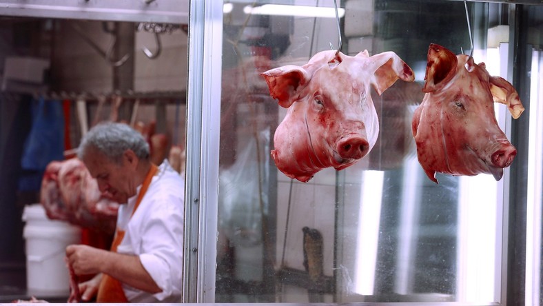 Des têtes de cochons jetées contre un centre culturel musulman en Pologne