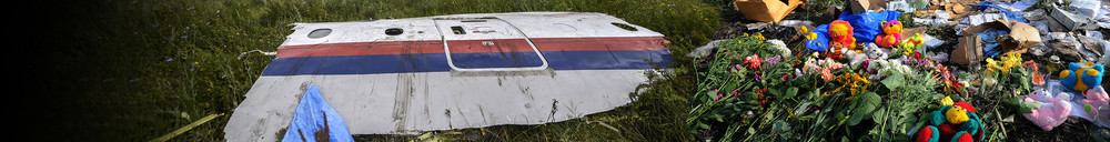 Crash du vol MH17 : un an après la tradégie