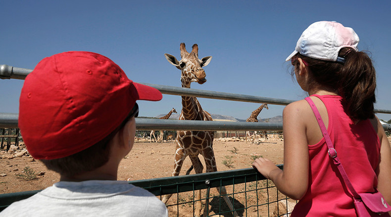 La crise est partout : menace de famine au zoo d’Athènes