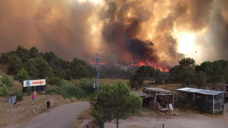 De violents incendies ravagent le Sud de l’Europe