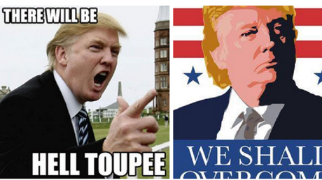 «Trump your cat», ou comment coiffer son chat à la manière (improbable) de Donald Trump