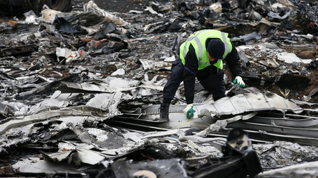 MH 17 : une nouvelle vidéo du site du crash soulève des questions