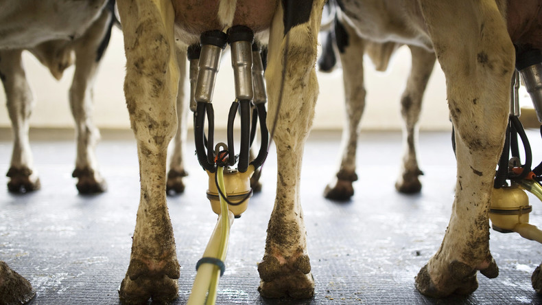 Sanctions : «Les paysans sont les victimes d’un conflit qui n’a rien à voir avec l’agriculture»