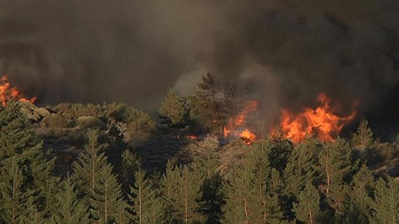Des incendies ravagent le Portugal
