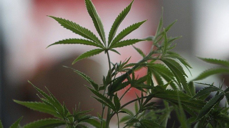 Espagne: un bateau bourré de cannabis a failli couler !