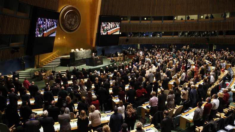 Assemblée générale de l’ONU : comment ça marche ?