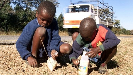 Au Zimbabwe, les écoliers se servent de leurs céréales du matin pour fabriquer de la bière