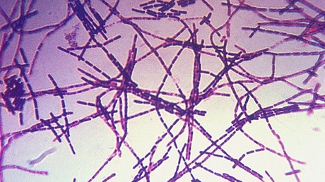 Un laboratoire biologique du Pentagone se heurte à une nouvelle déficience