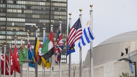 ONU : l'institution des droits de l'Homme où il ne fait pas bon être lanceur d'alerte 