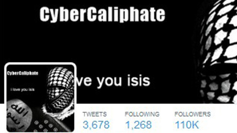 Un «hacker terroriste» soupçonné de travailler pour Daesh arrêté en Malaisie