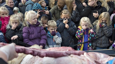 Au Danemark, la dissection d'animaux en public «fait partie de l'éducation», selon une spécialiste