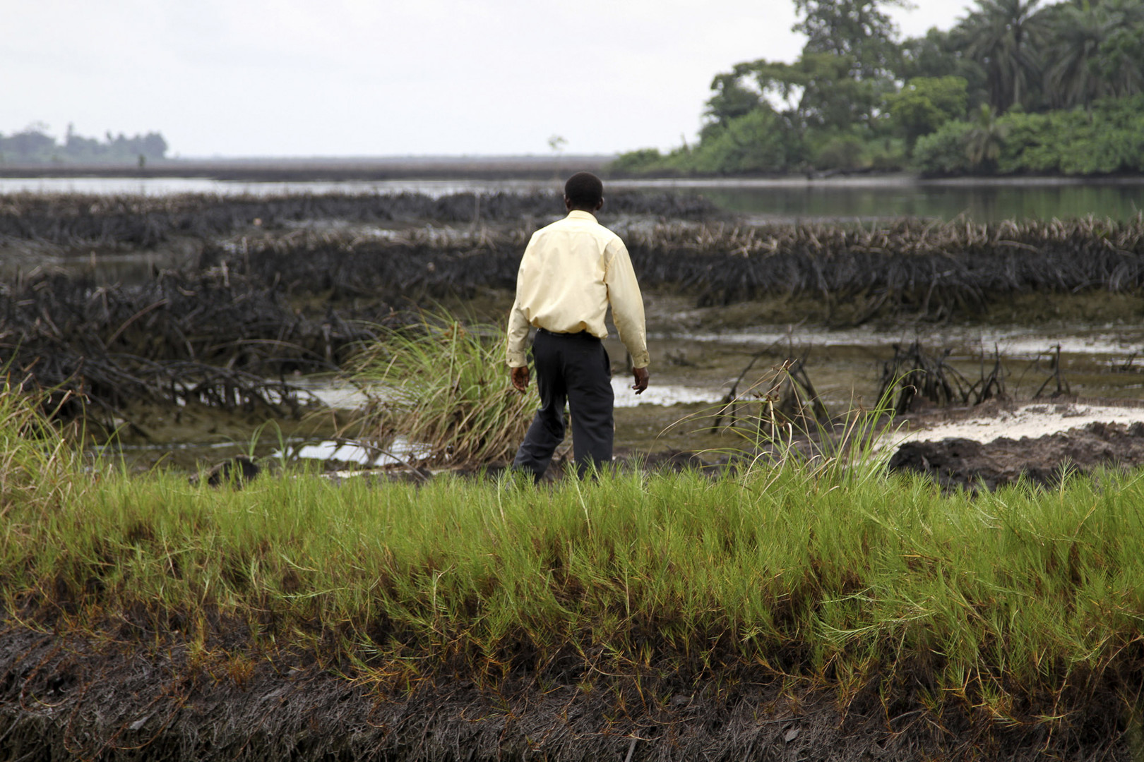 Amnesty International accuse Shell de mentir sur le nettoyage du pétrole au Nigeria
