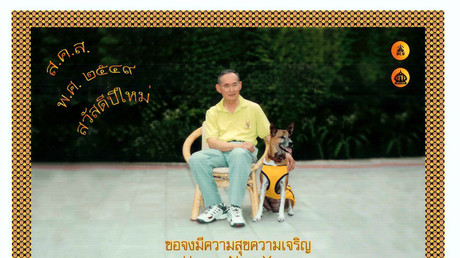 Un Thaïlandais risque la prison pour s'être moqué du chien royal