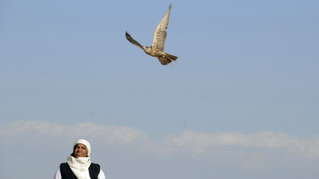 26 Qataris, dont certains membres de la famille au pouvoir, enlevés lors d’une chasse au faucon