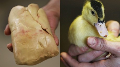 Foie gras : plaisir gustatif ou souffrance animale ? L214 Ethique et Animaux répond à RT France