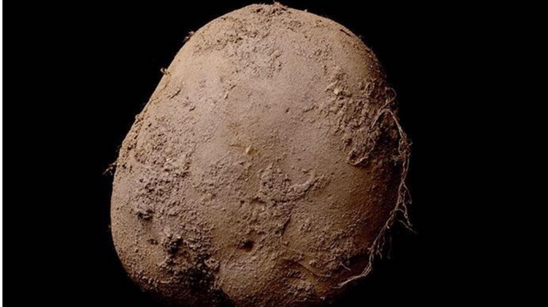 Un homme d’affaire achète la photographie d’une pomme de terre pour 1 million d’euros