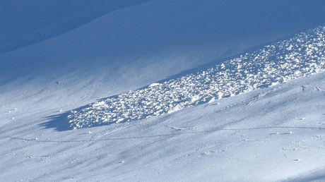 Canada : une avalanche fait cinq morts en Colombie-Britannique