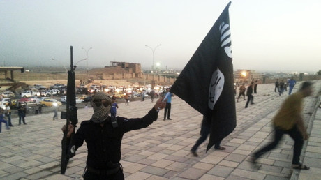 «Daesh est un monstre à plusieurs têtes»