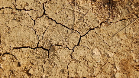 L'Algérie menacée par une importante sécheresse