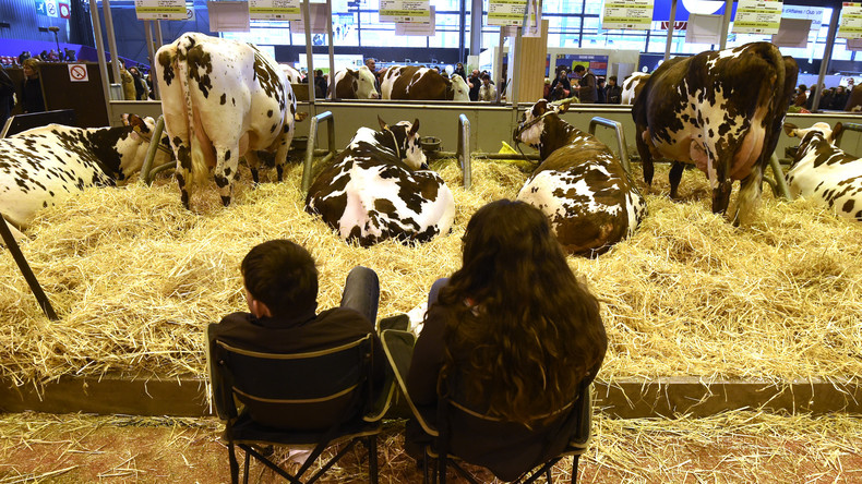 Isabelle Attard : «On est dans une panique absolue du modèle agricole»