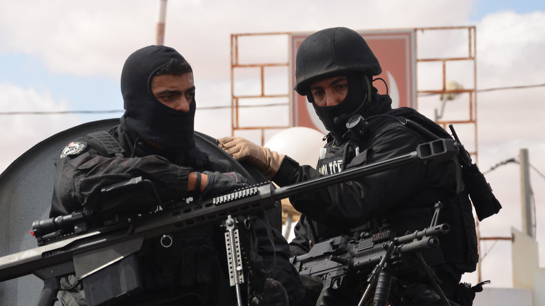 «Certains pays arabes considèrent Daesh comme un ennemi alors que d'autres lui tendent la main»