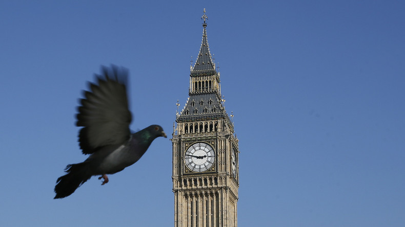 Les pigeons londoniens vont mesurer la pollution de la capitale anglaise (PHOTOS,VIDEO)