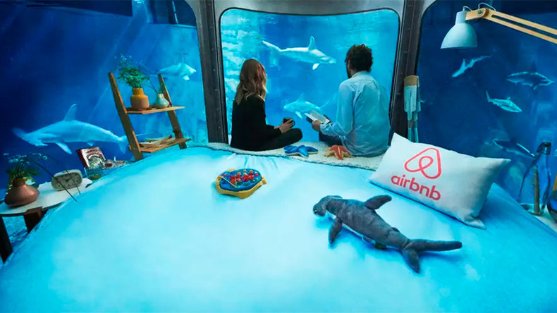 Une nuit avec des requins à Paris : une offre d’Airbnb qui glace le sang