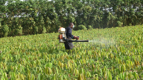 L’agriculture française utilise toujours plus de pesticides
