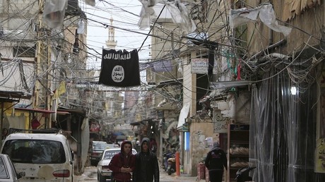  Daesh aurait perdu un cinquième de ses territoires et 40% de son chiffre d'affaires