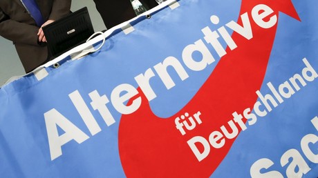 Allemagne: le parti AfD veut une zone euro sans la France